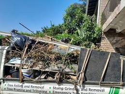 Best Commercial Junk Removal  in Gleason, TN